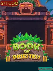 Explorando o Mundo de 'BookOfPriestess': Uma Jornada Inovadora no Universo dos Jogos
